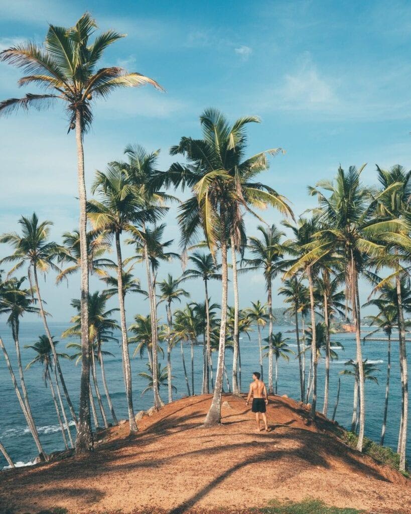 Sri Lanka opening for tourists