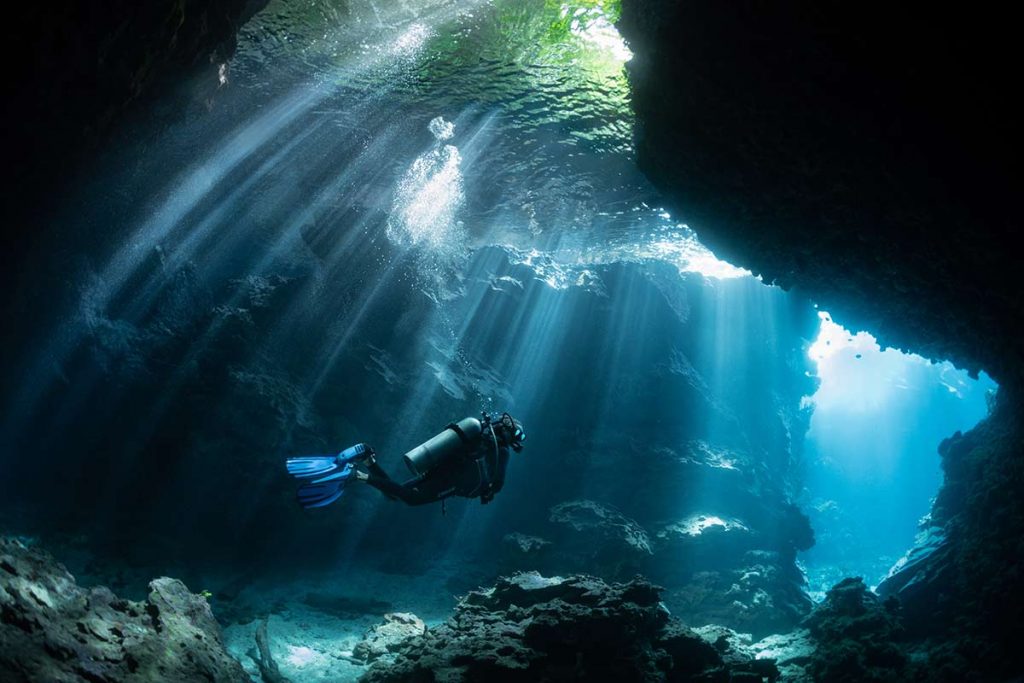 Diving at night in Honolulu