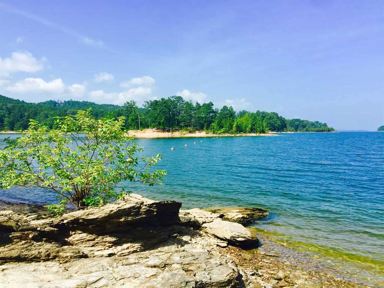 Lake Ouachita National Forest - Camping Sites in Arkansas