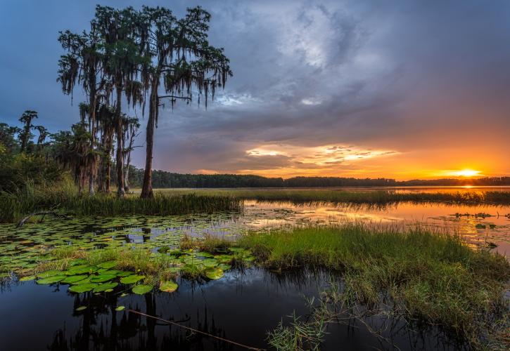 best state parks near Orlando