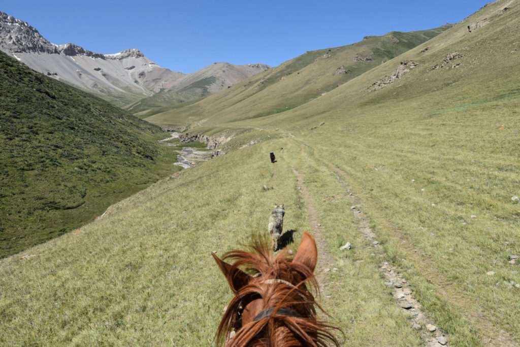 Horse riding Kyrgyzstan