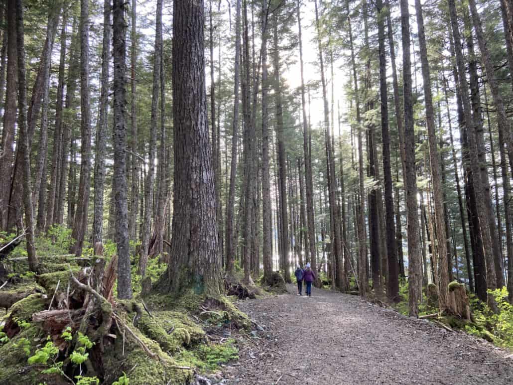 icy strait point alaska forest theresa russell