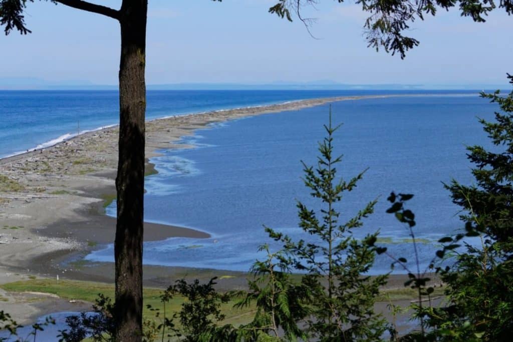 Dungeness Spit Washington