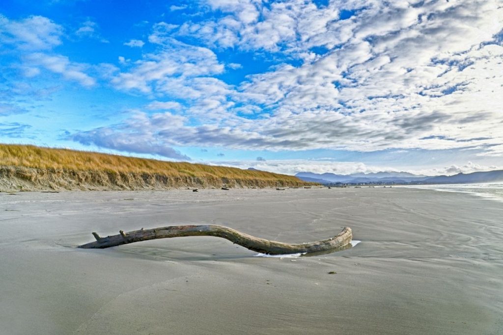 Gearhart Beach Oregon