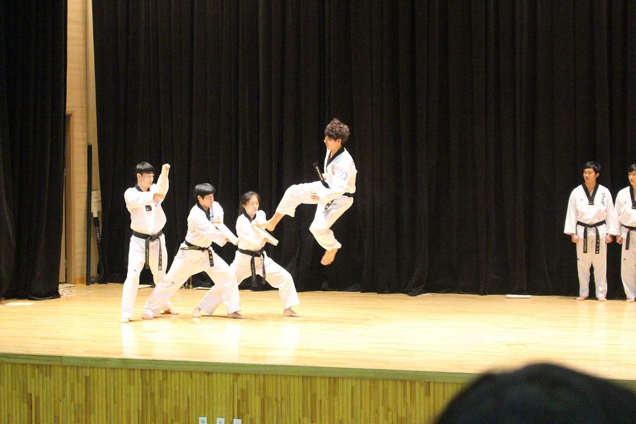 south korean facts - taekwondo