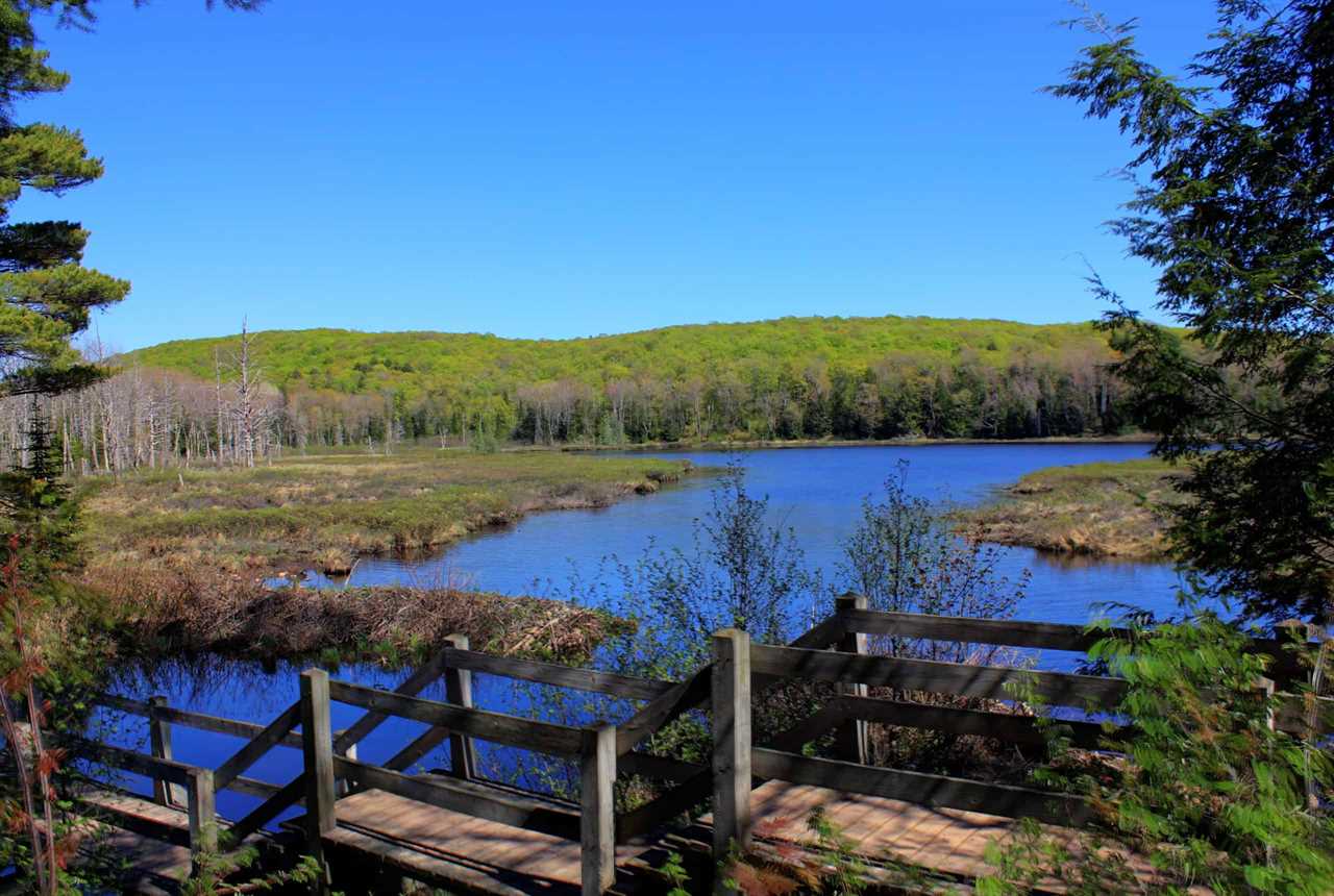 Porcupine Mountains State Park for Camping in Michigan