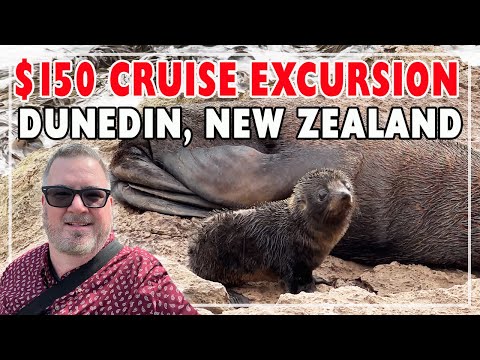 $150 cruise excursion
