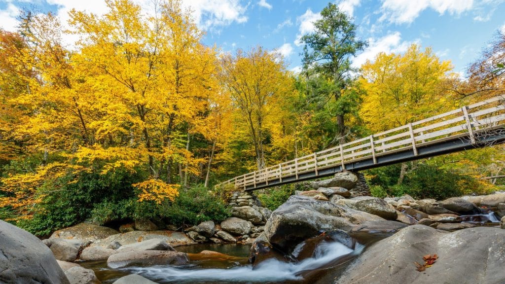 Great Smoky Mountains