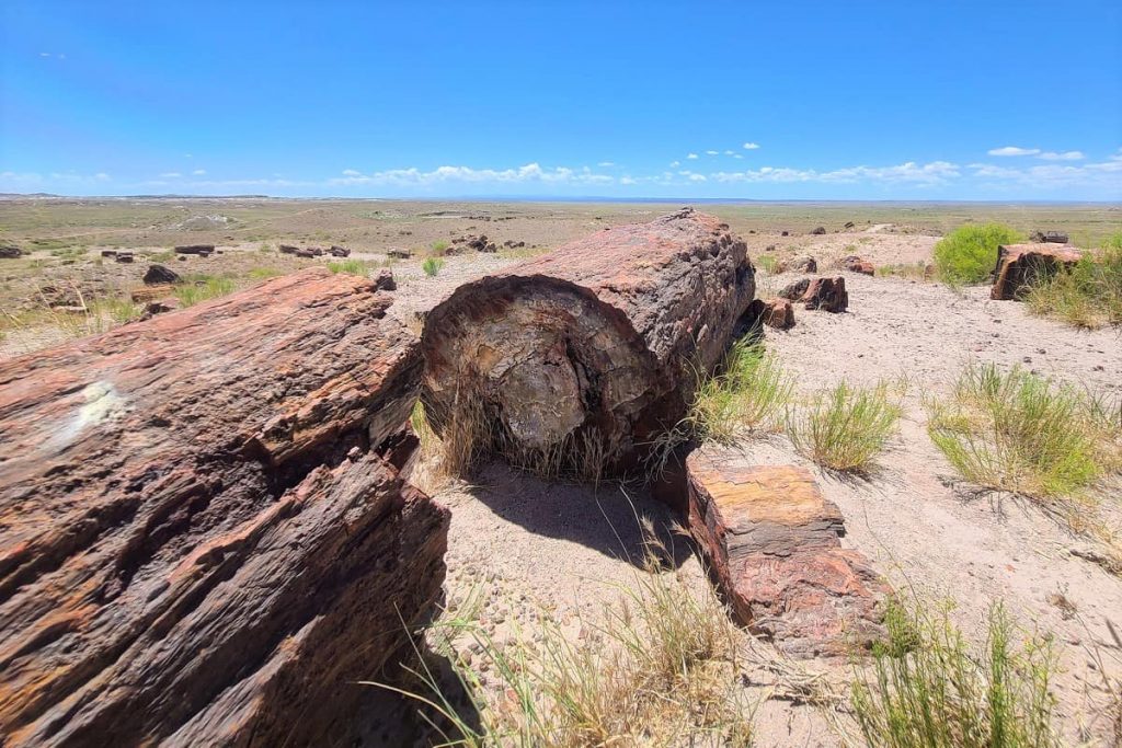 Petrified Forest National Park AZ