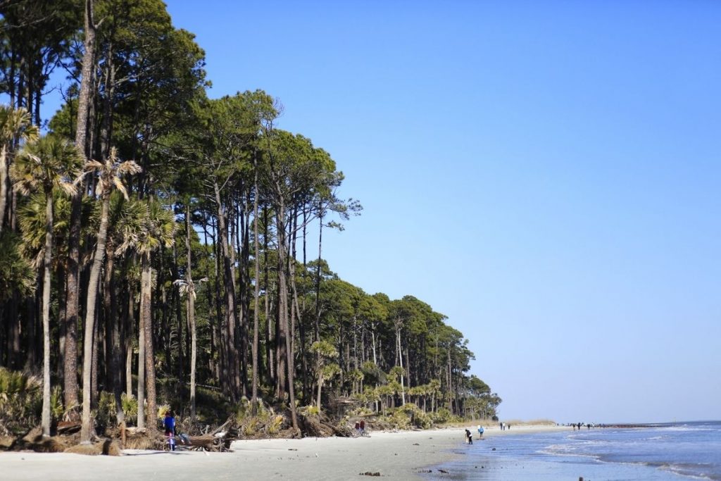 Hunting Island State Park