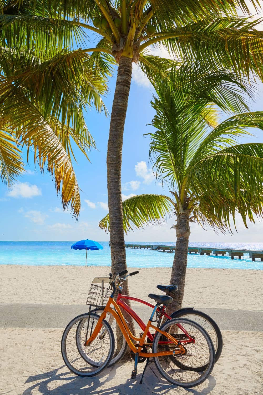 Higgs Beach Key West