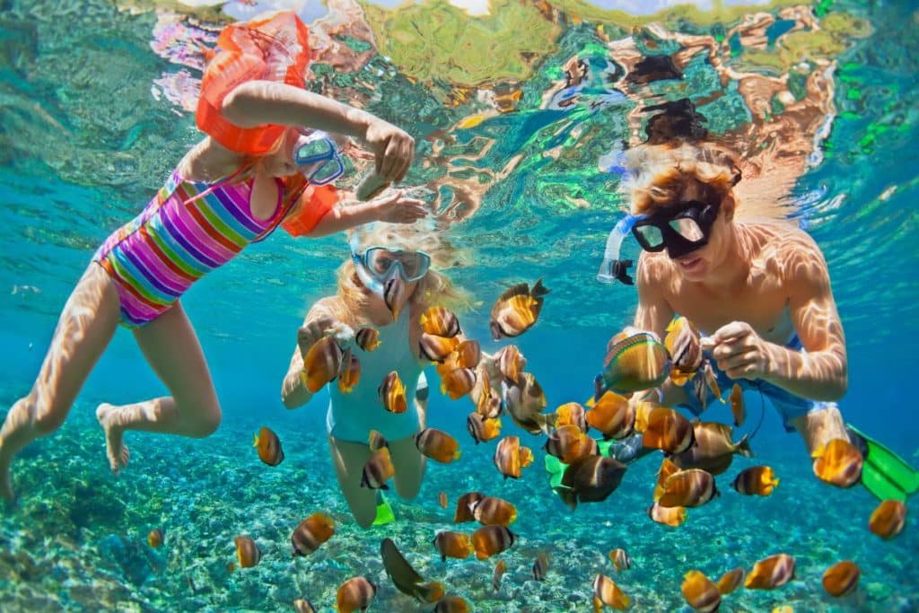 snorkeling hawaii