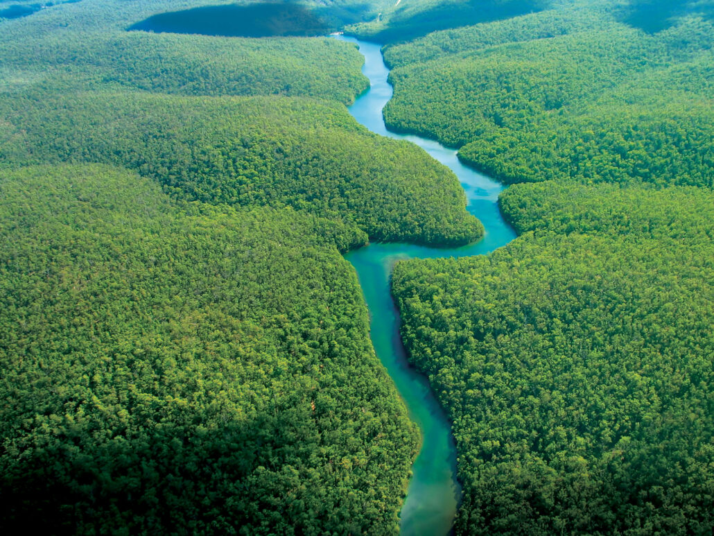 amazon river