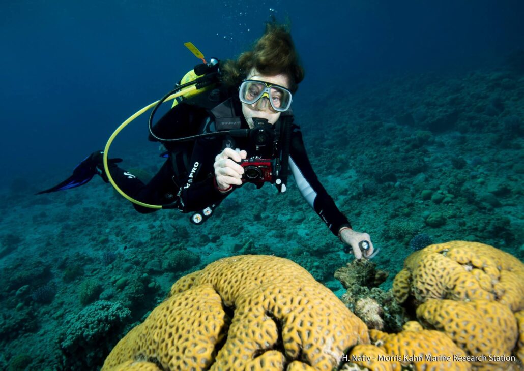 dr. sylvia earle scuba diving