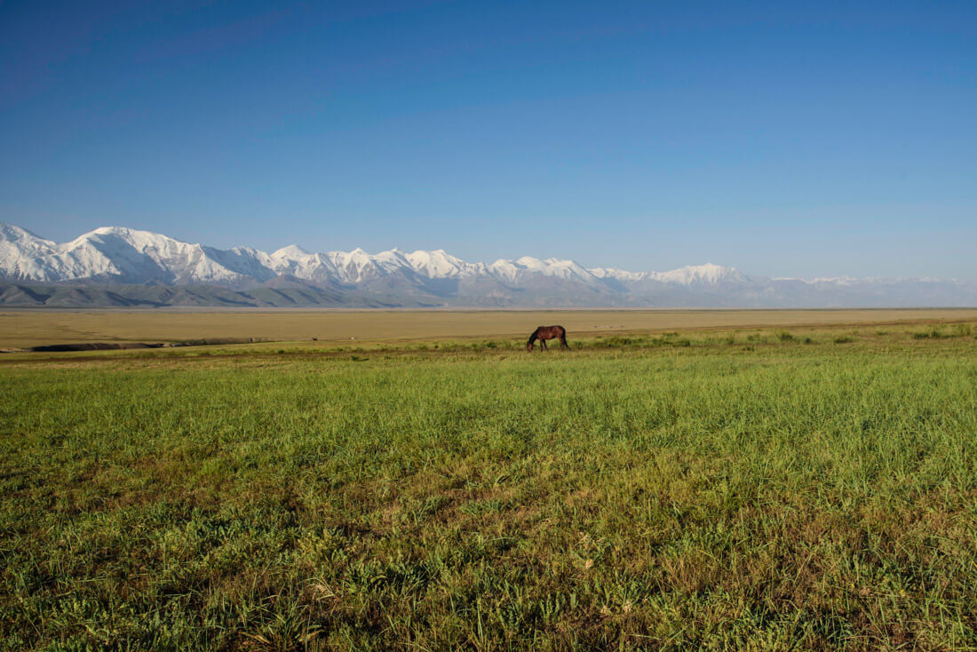 how to travel around Central Asia