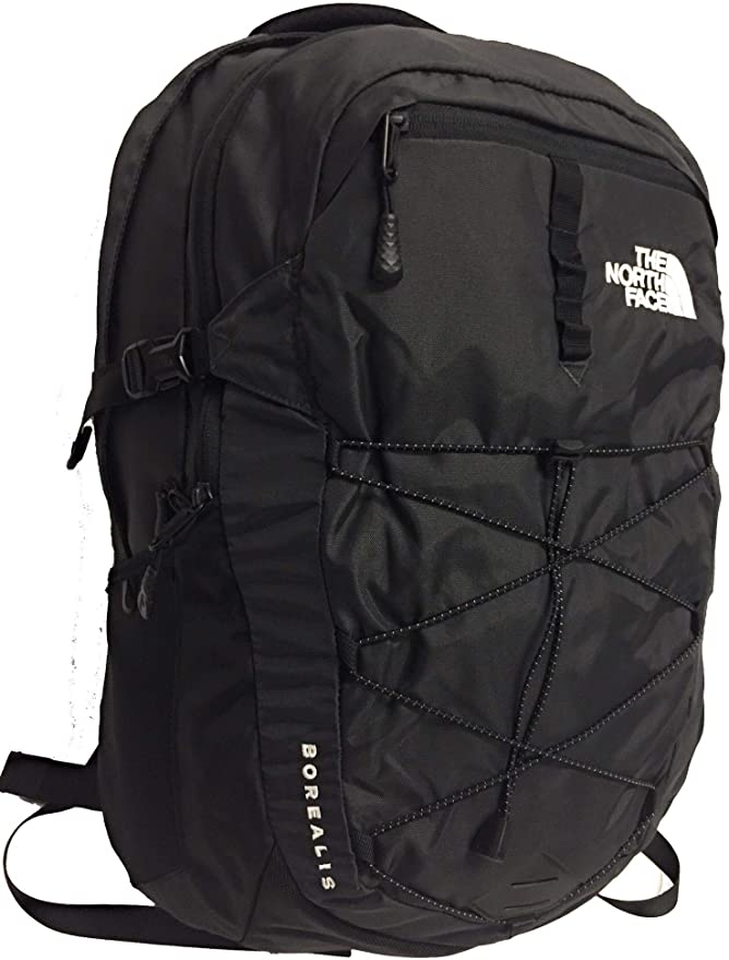 north face - best backpack for backpain