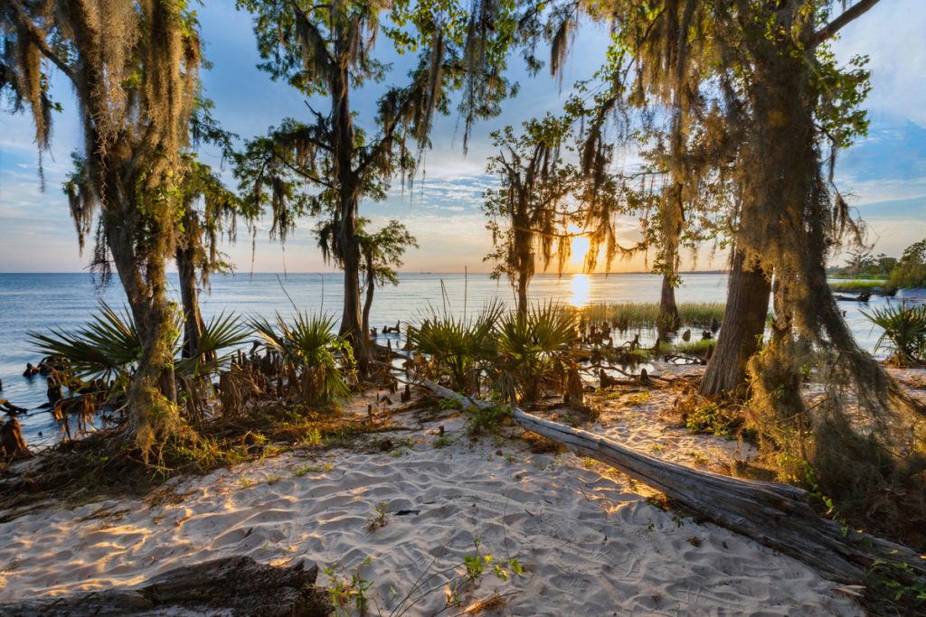 Fontainebleau State Park Beach