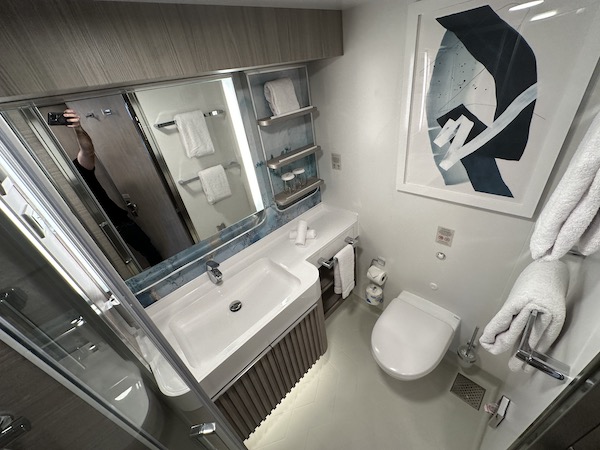norwegian viva cabin bathroom
