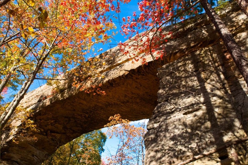 Natural Bridge State Park