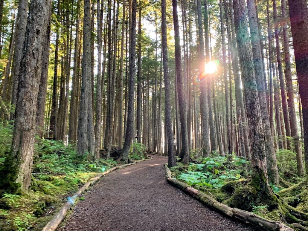 trail icy strait point