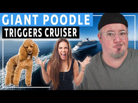 cruise passenger freaks out