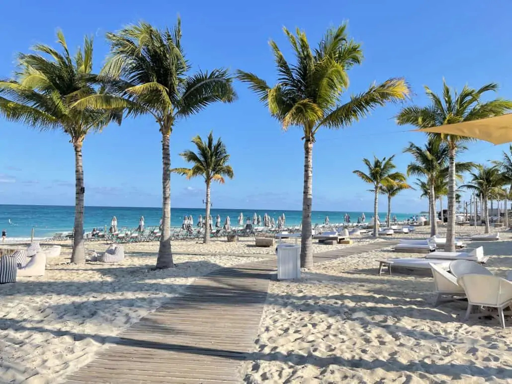 bimini beach club sand palm trees